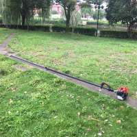 2-5meters Palm Motorized Cutter (CANTAS)